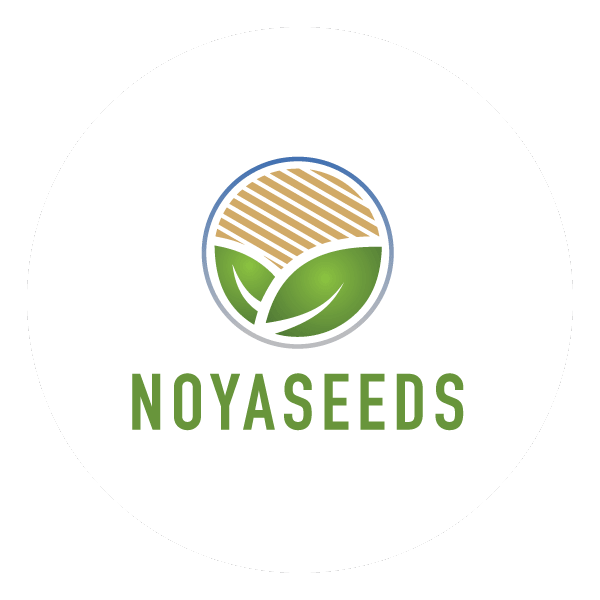 Noyaseeds